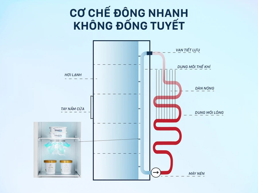 Tủ đông đứng - Tủ đông