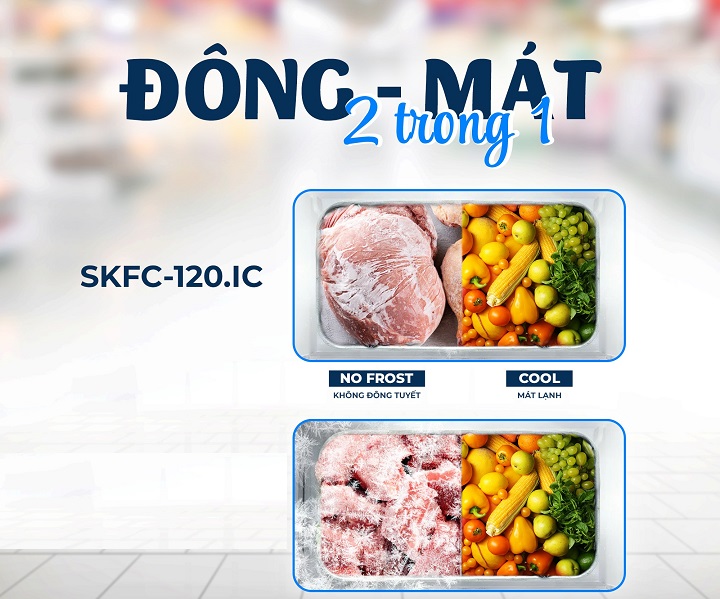 Công dụng của tủ đông 2 ngăn mặt kính - Tin tức