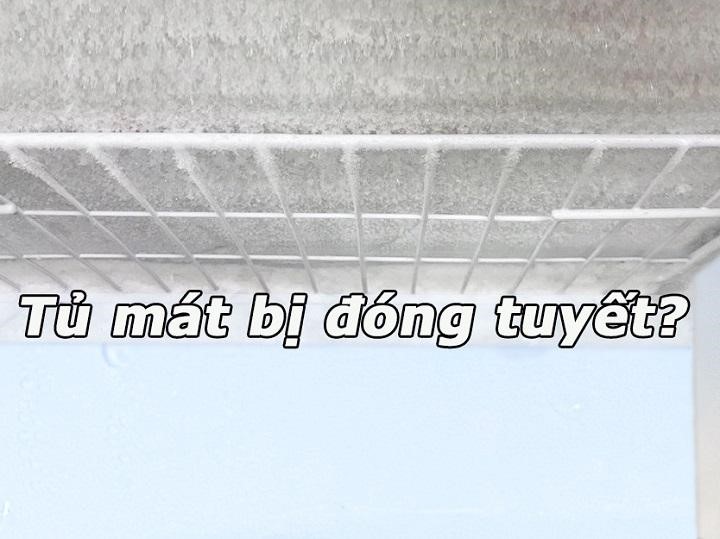 Nguyên nhân tủ mát bị đóng tuyết - Tin tức