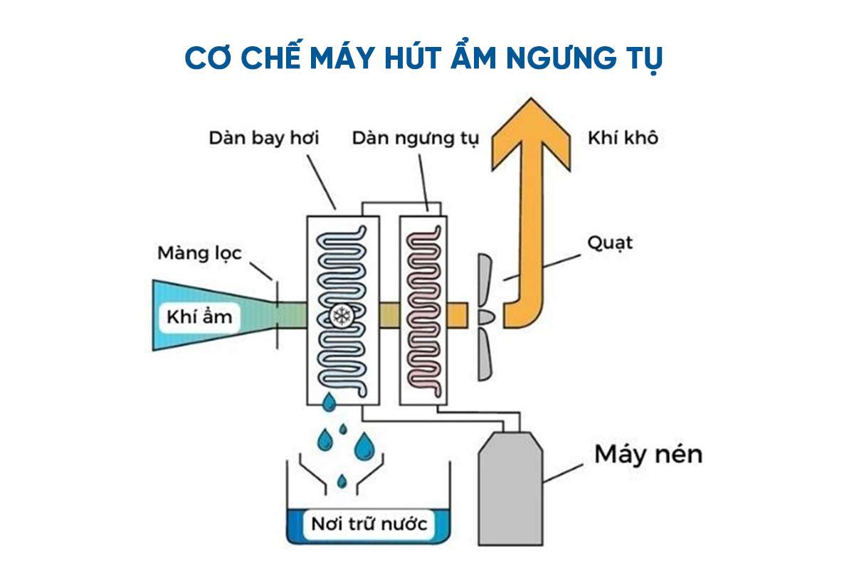 Nên trang bị máy hút ẩm phòng 80m² như thế nào? - Tin tức