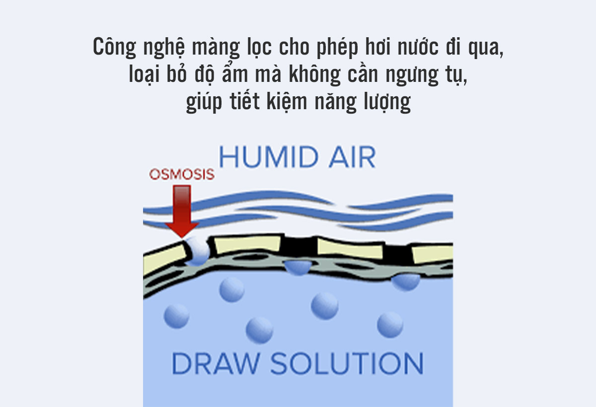 Lịch sử phát triển của công nghệ hút ẩm trên thế giới - Tin tức