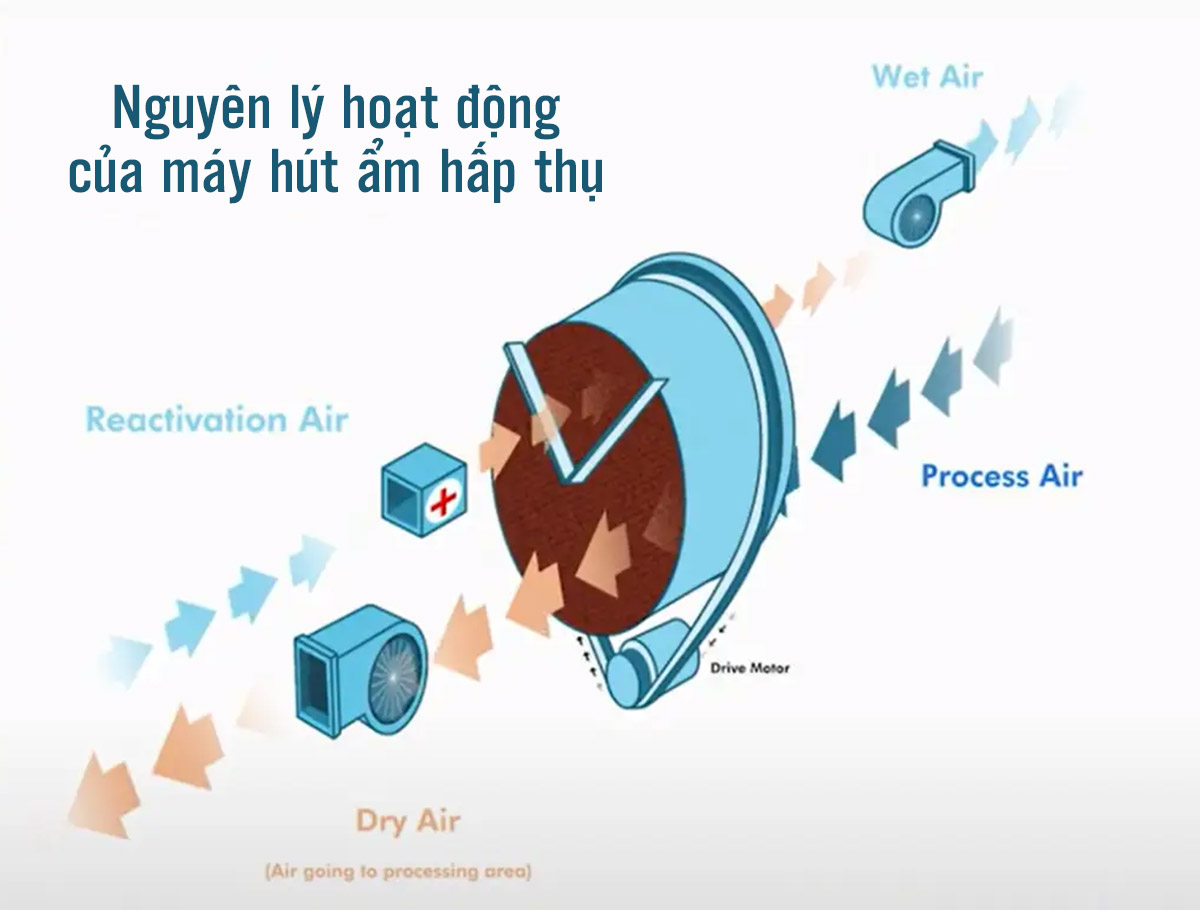 Máy hút ẩm hấp thụ là gì? Lợi ích và ứng dụng đời sống thực tế - Tin tức