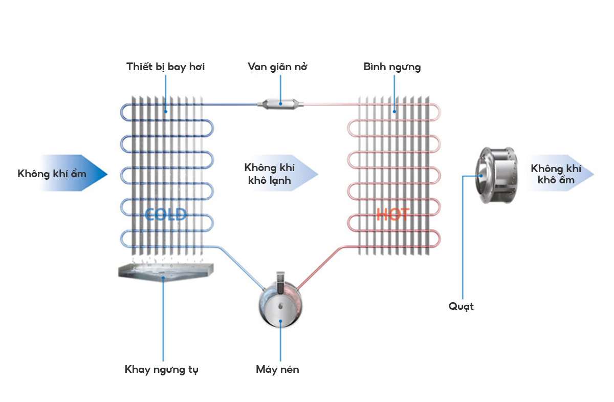 Máy hút ẩm ngưng tụ là gì? Ưu điểm và nguyên lý hoạt động - Tin tức