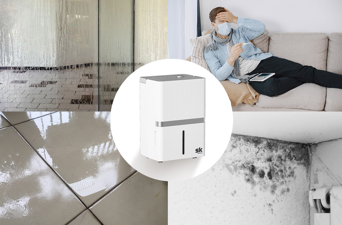 Vai trò của máy hút ẩm trong kiểm soát độ ẩm không khí - Tin tức