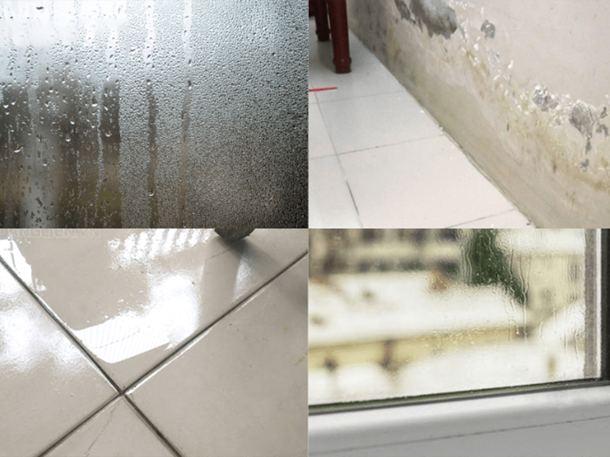 Sử dụng máy hút ẩm có làm ấm phòng không? - Tin tức