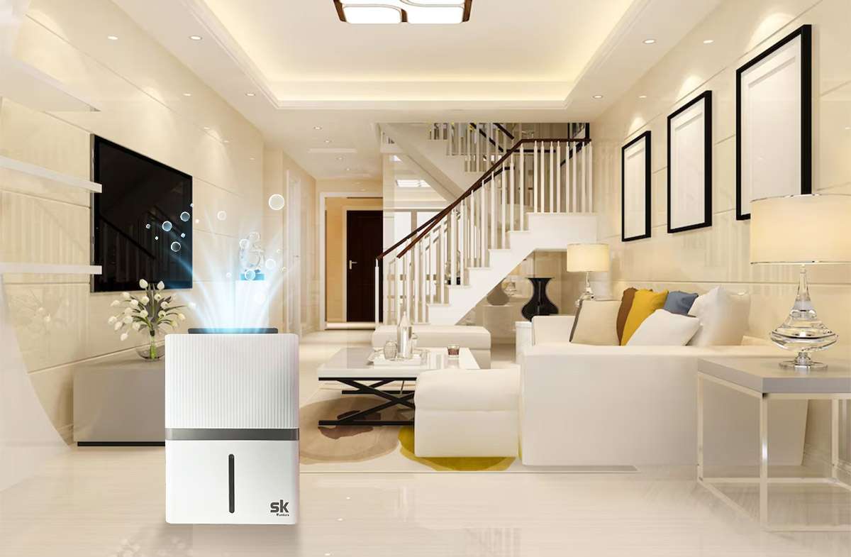 Máy hút ẩm diệt khuẩn có ngăn ngừa nấm mốc và vi khuẩn không? - Tin tức