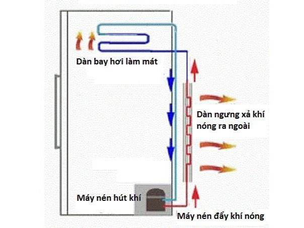 Nguyên nhân tủ đông bị nóng - Tin tức