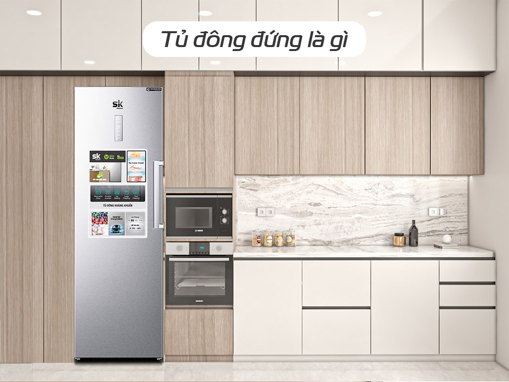 Các kích thước tủ đông đứng phổ biến hiện nay - Tin tức