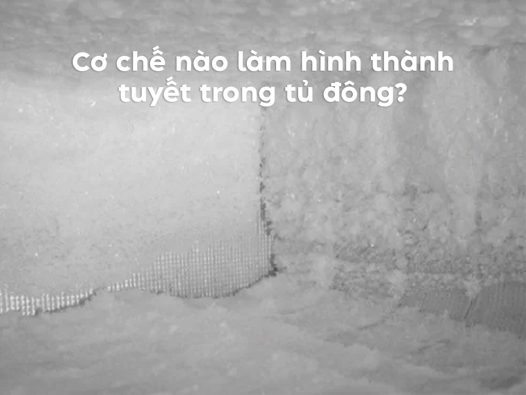 Cách xử lý tủ đông bị đóng tuyết nhanh chóng hiệu quả - Tin tức