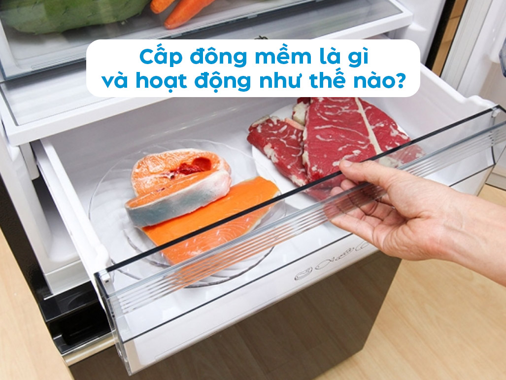Tác dụng của ngăn đông mềm trong bảo quản thực phẩm - Tin tức
