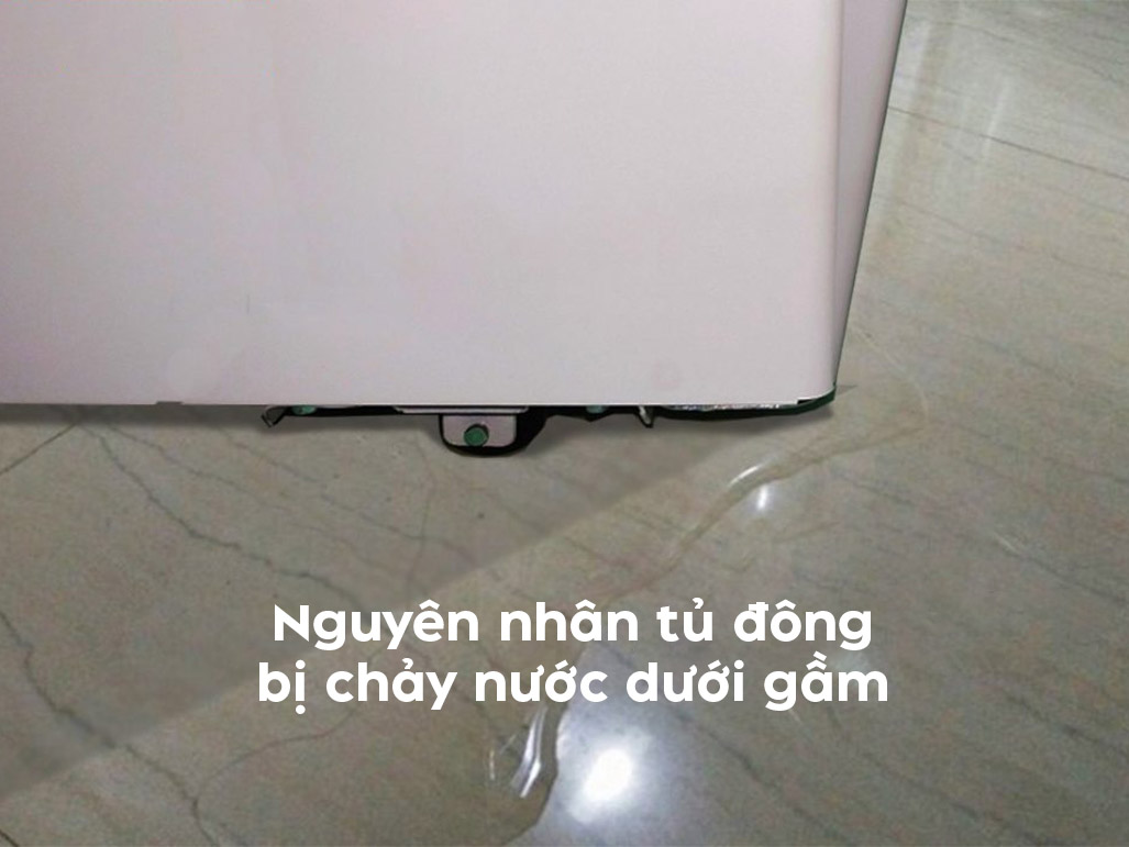 Tại sao tủ đông bị chảy nước dưới gầm và cách xử lý - Tin tức