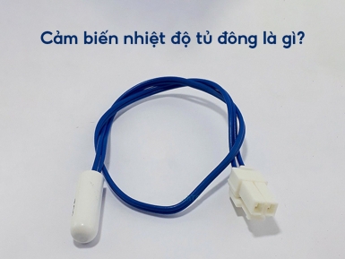 Cảm biến nhiệt độ tủ đông hoạt động như thế nào? - Tin tức