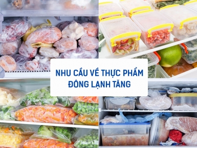 SKFU-300HSN.I: Tủ bảo quản đông lạnh chuyên dụng cho thực phẩm - Tin tức