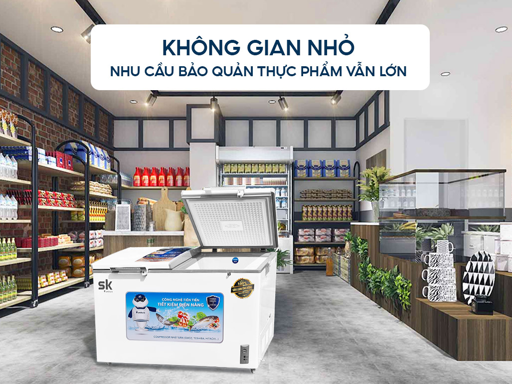 SKF-300D/JS: Mẫu tủ đông 2 ngăn mini giá rẻ cho không gian nhỏ - Tin tức