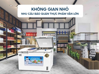 SKF-300D/JS: Mẫu tủ đông 2 ngăn mini giá rẻ cho không gian nhỏ - Tin tức
